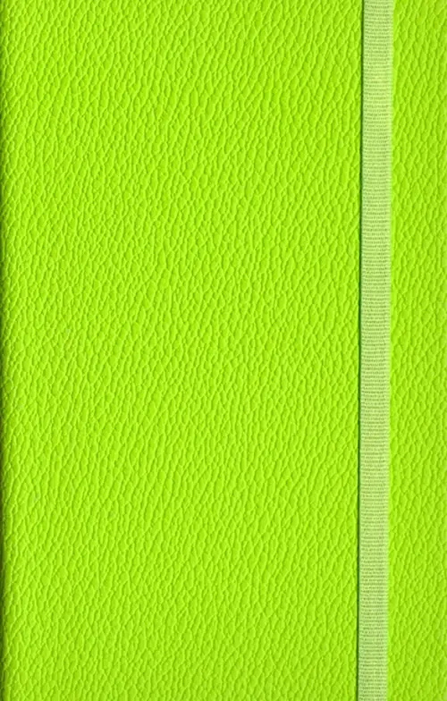 

Записная книжка Lifestyle, 96 листов (AZ110/lgt-green), Зелёный