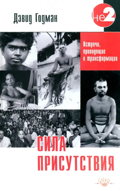 

Сила присутствия. Том 1. Встречи с Шри Раманой Махарши, приводящие к трансформации, Серый
