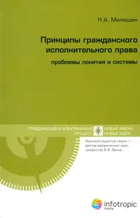 Принципы гражданского исполнительного права. Проблемы понятия и системы