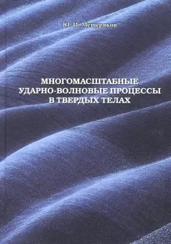 Многомасштабные ударно-волновые процессы в твердых телах