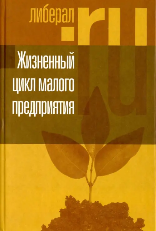 

Жизненный цикл малого предприятия, Жёлтый
