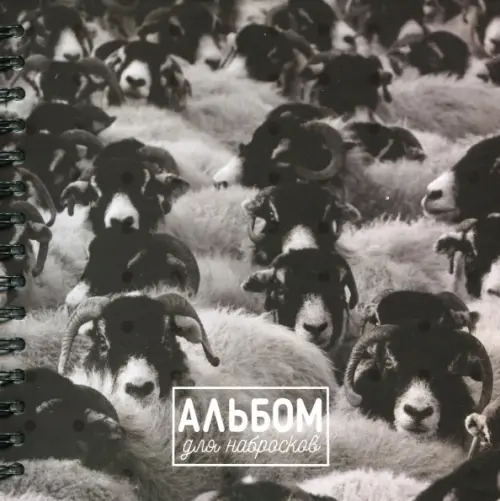 

Альбом для набросков. Овцы, 80 листов, Серый