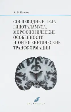 Сосцевидные тела гипоталамуса. Морфологические особенности и онтогенетические трансформации