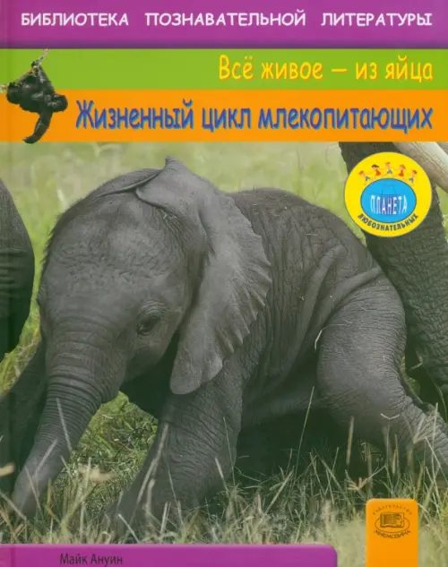 

Жизненный цикл млекопитающих, Серый