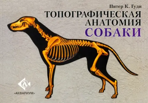

Топографическая анатомия собаки, Серый