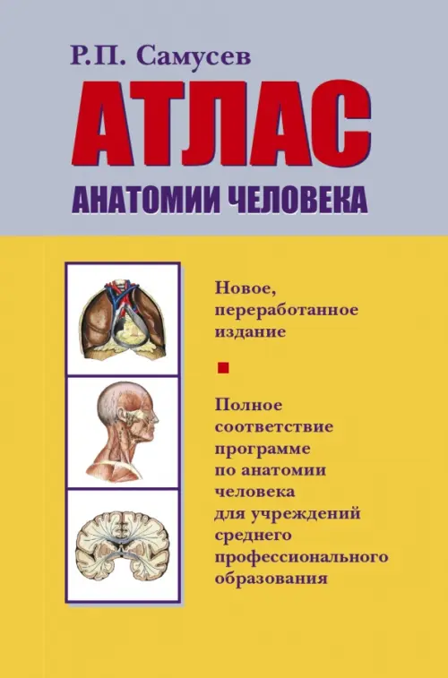 

Атлас анатомии человека, Оранжевый
