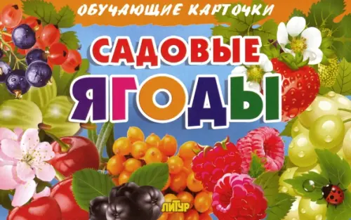 Комплект карточек Садовые ягоды 88₽