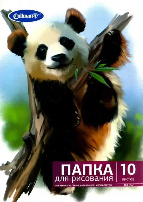 Папка для рисования Панда 10 листов А4 FK-2410 82₽