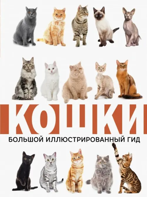 

Кошки, Белый