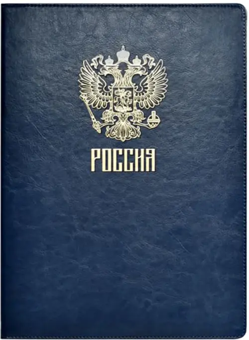 Папка для документов Сариф магнитный зажим А4 синяя 879₽