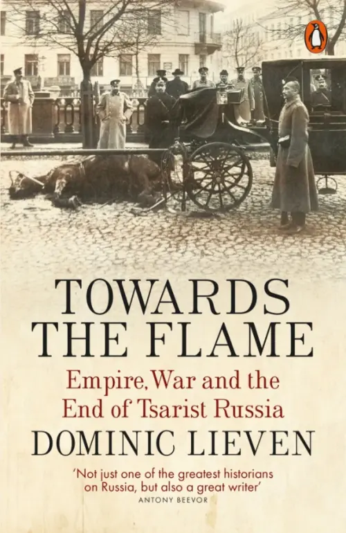 

Towards the Flame. Empire, War and the End of Tsarist Russia, Серый