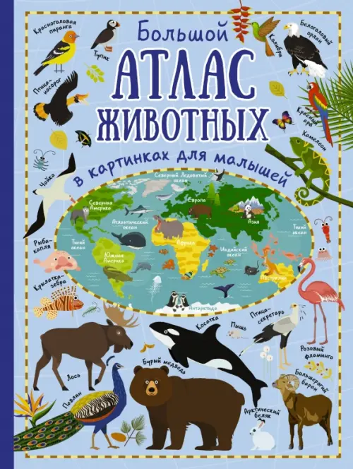 

Большой атлас животных в картинках для малышей, Фиолетовый
