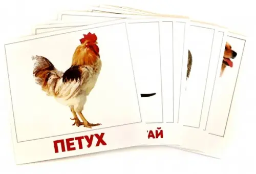 Домашние животные 320₽