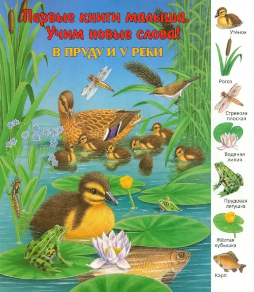 

В пруду и у реки. Виммельбух, Голубой