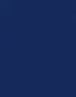 Тетрадь общая (48 листов, А5, клетка), бумвинил (1511765)