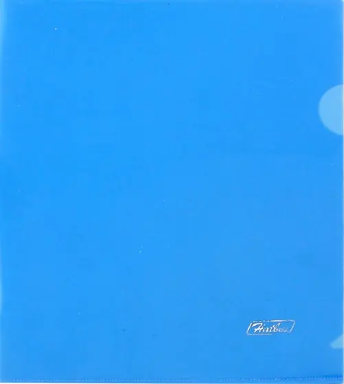 

Папка-уголок пластиковая (А5, синяя) (AG5_00102), Синий