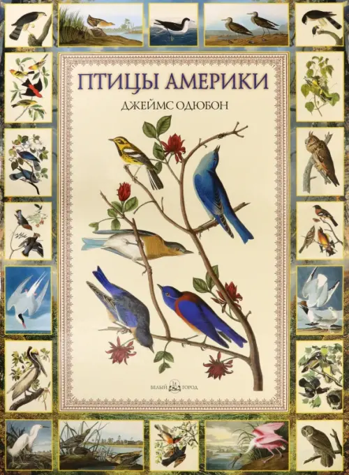 

Птицы Америки