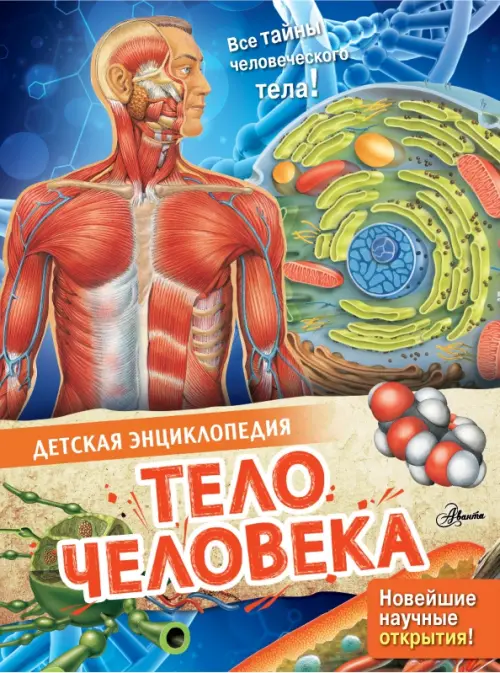 

Тело человека