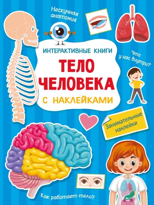 

Тело человека, Синий
