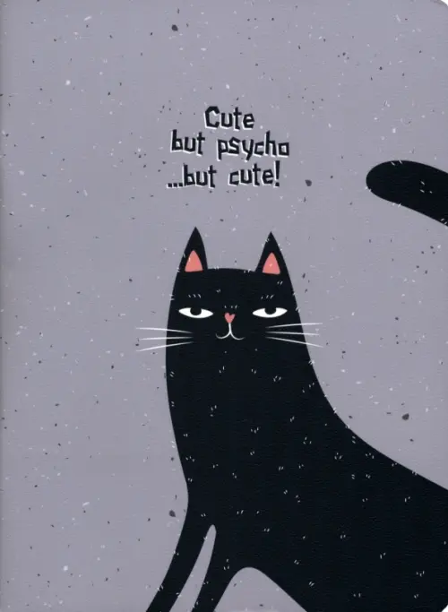 

Тетрадь Silly. Черный кот, А5+, 48 листов, клетка, Серый