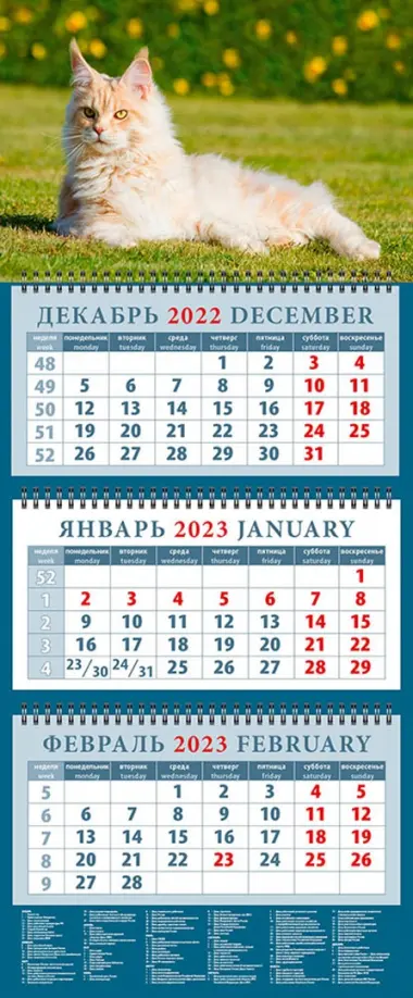 

Календарь на 2023 год. Год кота. Приятно полежать на солнышке
