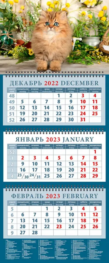 

Календарь на 2023 год. Год кота. Очаровательный малыш