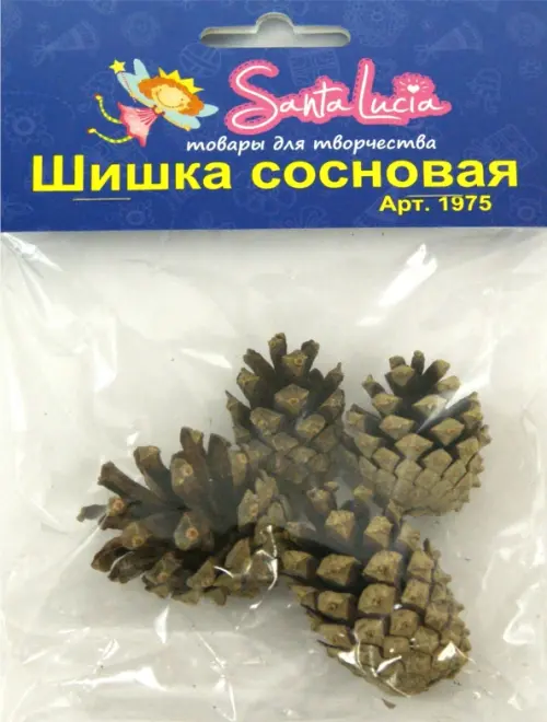 

Шишка сосновая. Для творчества