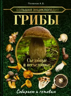 Большая энциклопедия. Грибы. Съедобные и несъедобные. Собираем и готовим