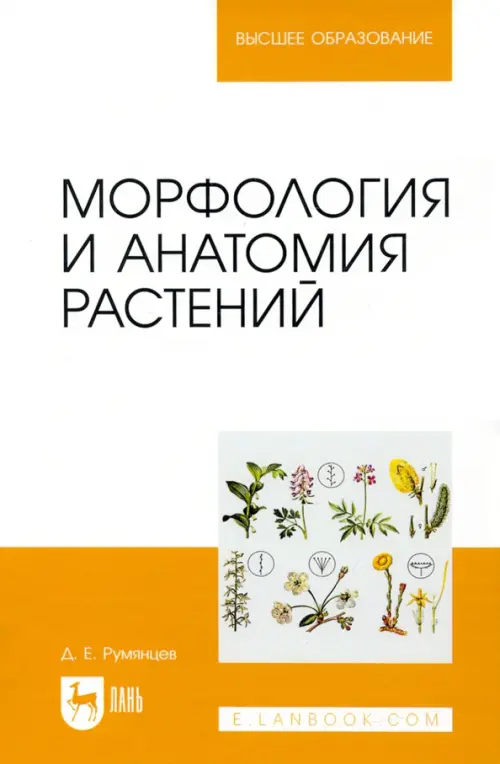 

Морфология и анатомия растений. Учебное пособие, Белый