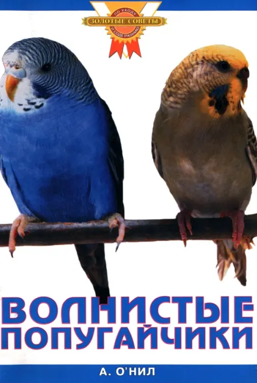 

Волнистые попугайчики, Белый