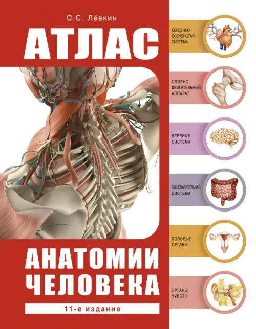 

Атлас анатомии человека, Красный