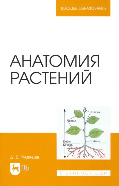 

Анатомия растений. Учебное пособие, Оранжевый