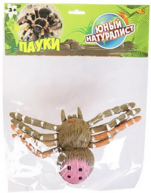 

Фигурка Паук, зелено-розовый, Зелёный
