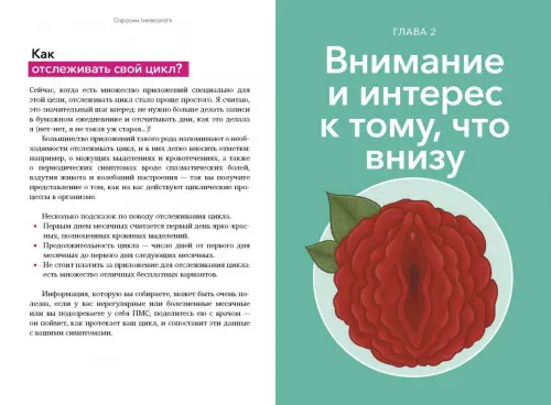 Беременность в однополой семье - Громадська організація Інсайт