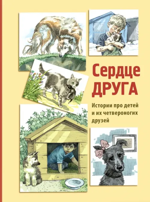 

Сердце друга, Жёлтый