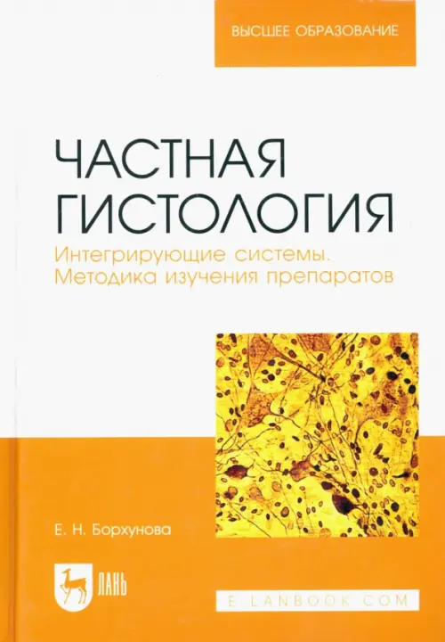 

Частная гистология. Интегрирующие системы. Методика изучения препаратов, Жёлтый