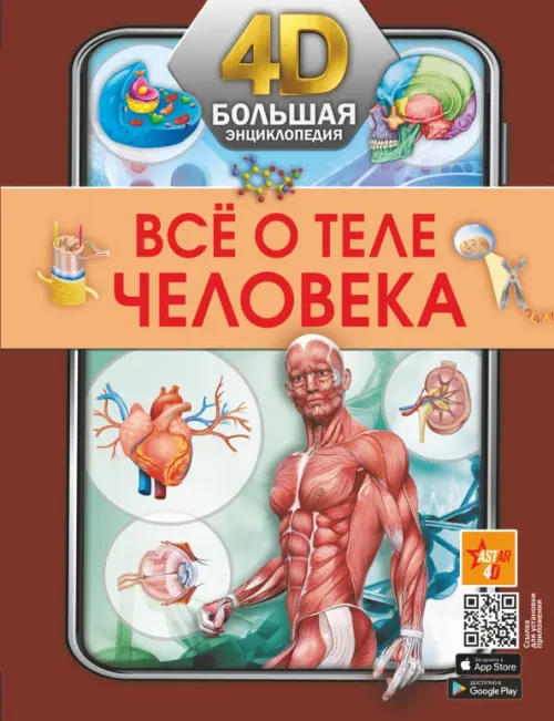 

Всё о теле человека, Красный