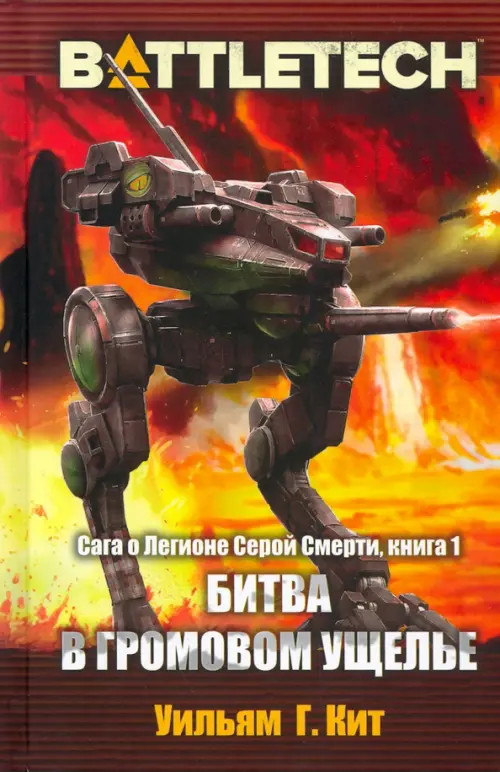 

BattleTech. Сага о Легионе Серой Смерти. Книга 1. Битва в Громовом ущелье, Оранжевый