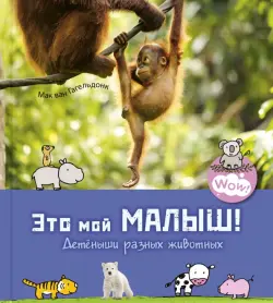 Это мой малыш! Детёныши разных животных