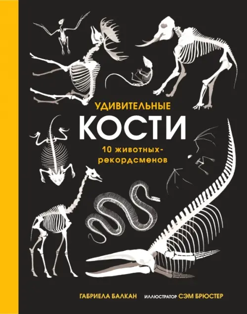 

Удивительные кости. Десять животных-рекордсменов, Чёрный