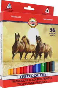 Карандаши цветные Triocolor, 36 цветов, утолщенные