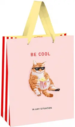 Пакет подарочный Be cool