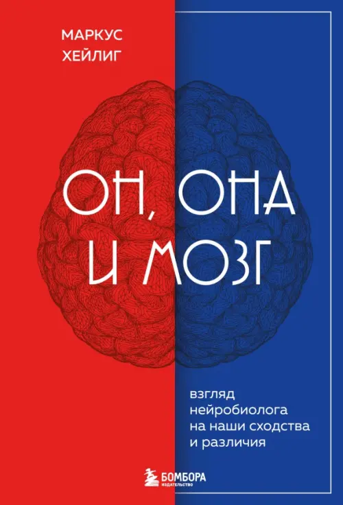 

Он, она и мозг. Как пол определяет наше мышление