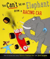 You Can't Let an Elephant Drive a Racing Car