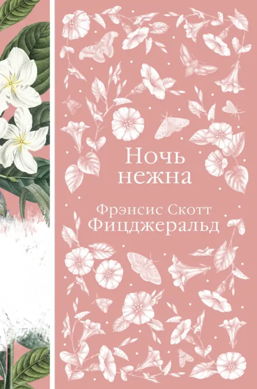 

Ночь нежна, Красный