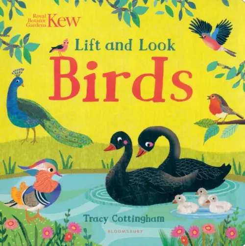 Kew. Lift and Look Birds - Cottingham Tracy