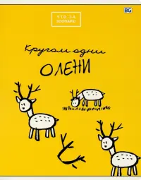 Тетрадь общая. Что за зоопарк! 48 листов, клетка, в ассортименте