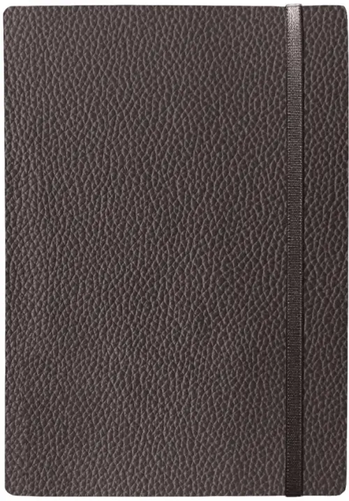Ежедневник недатированный 160 листов А5 Poi коричневый 510₽