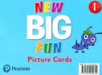 New Big Fun 1. Picture Cards