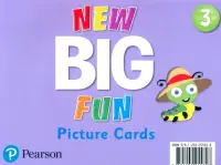 New Big Fun 3. Picture Cards
